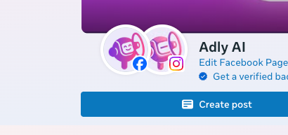 Meta business account showing both Facebook and Instagram connected