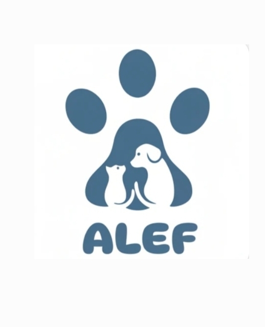 Business logo